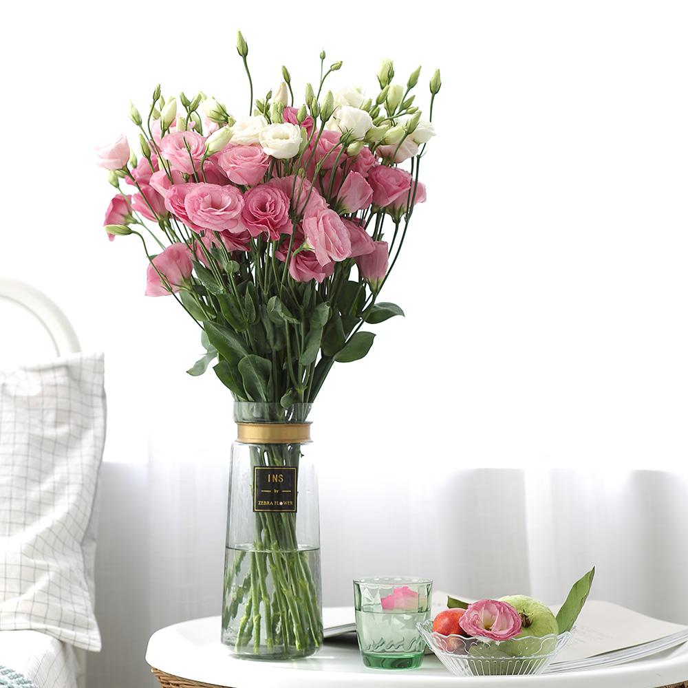 曝格策同意回归多特 2300万欧报价低于拜仁预期‘开云电竞’(图1) 开云电竞app下载安装