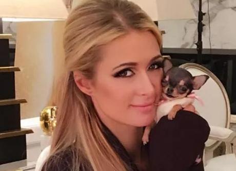 石墨烯智能服装或将成最新的可穿戴设备!“开云电竞官网”(图1) 开云电竞app下载安装