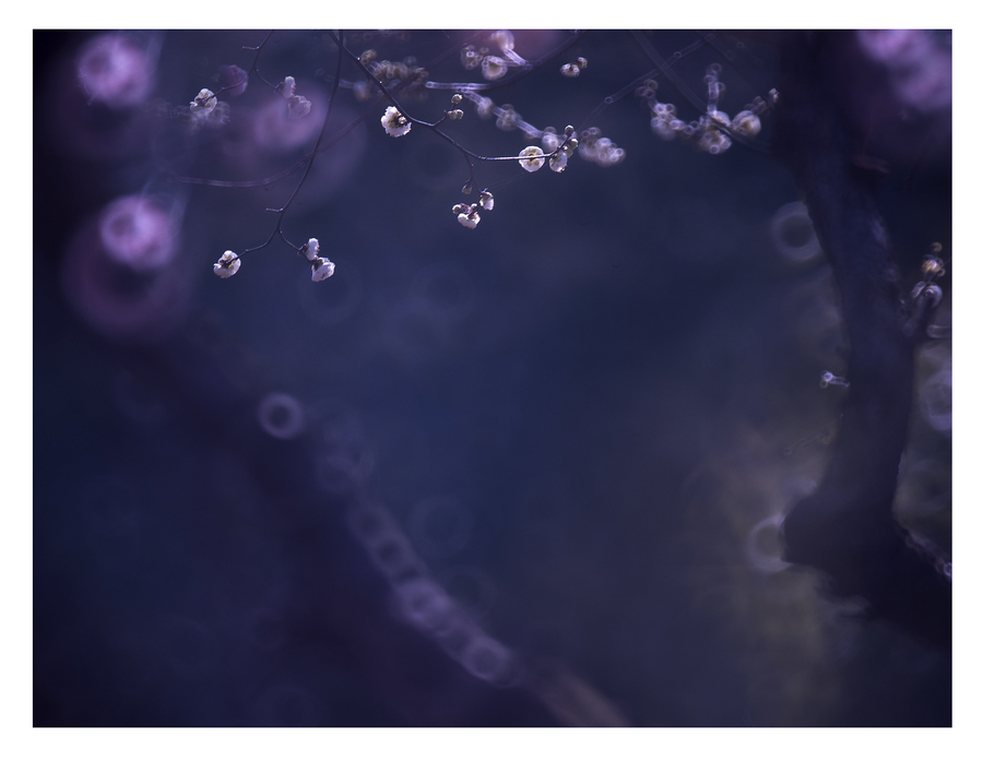 开云电竞app下载安装