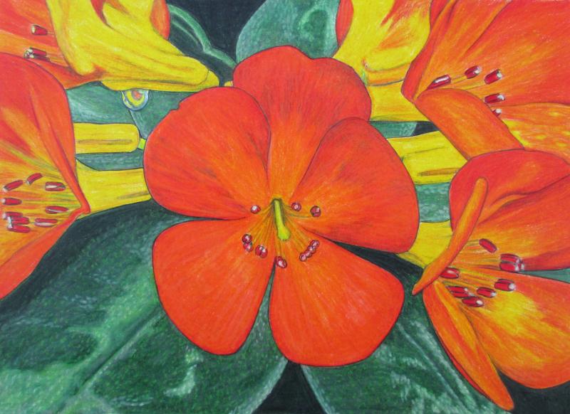 开云电竞app下载安装