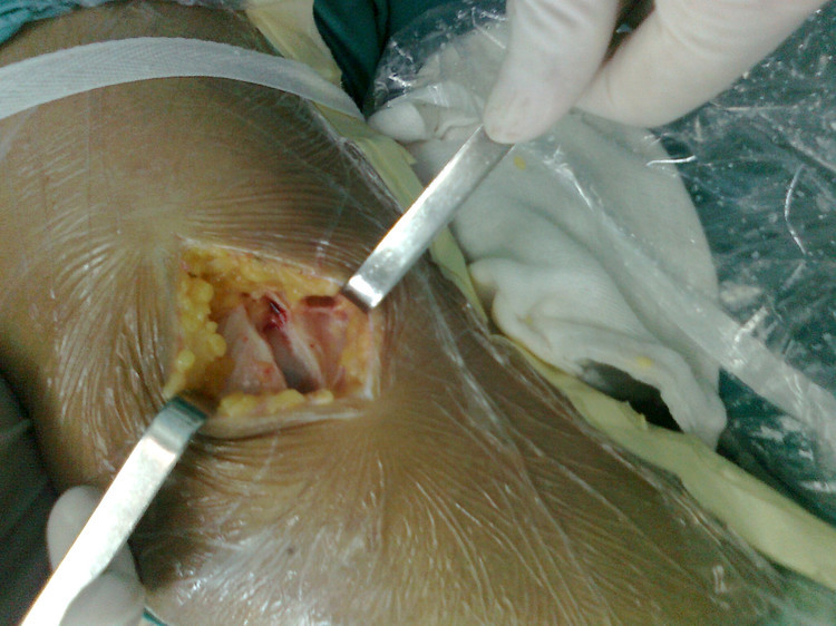 开云电竞app下载安装